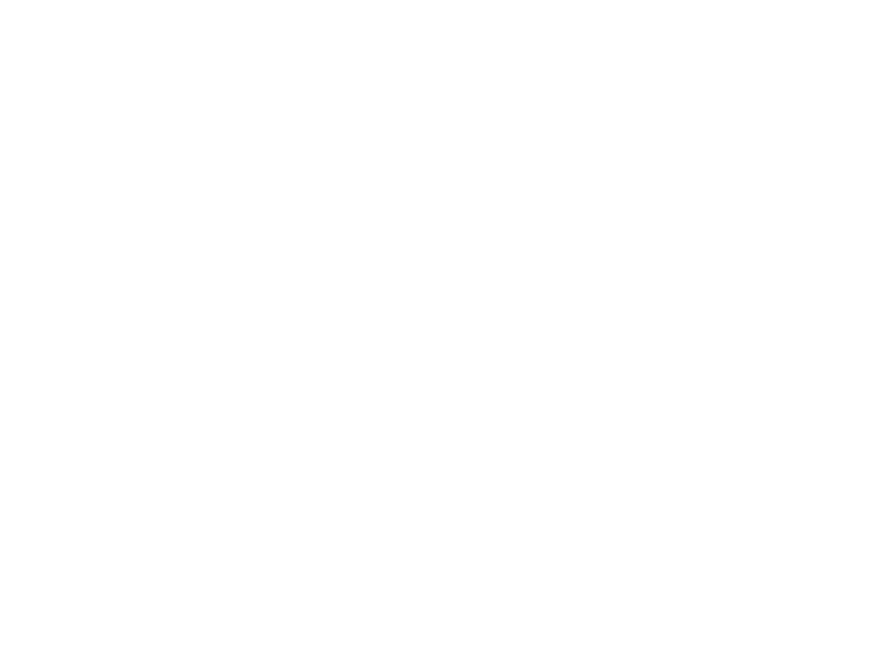 Despond Toiture logo transparent